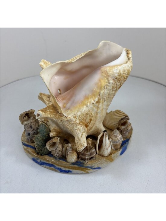 Unbranded Other - Vintage Seashell Sculpture Lamp Unique Home Decor Beach House (light Not Incl)